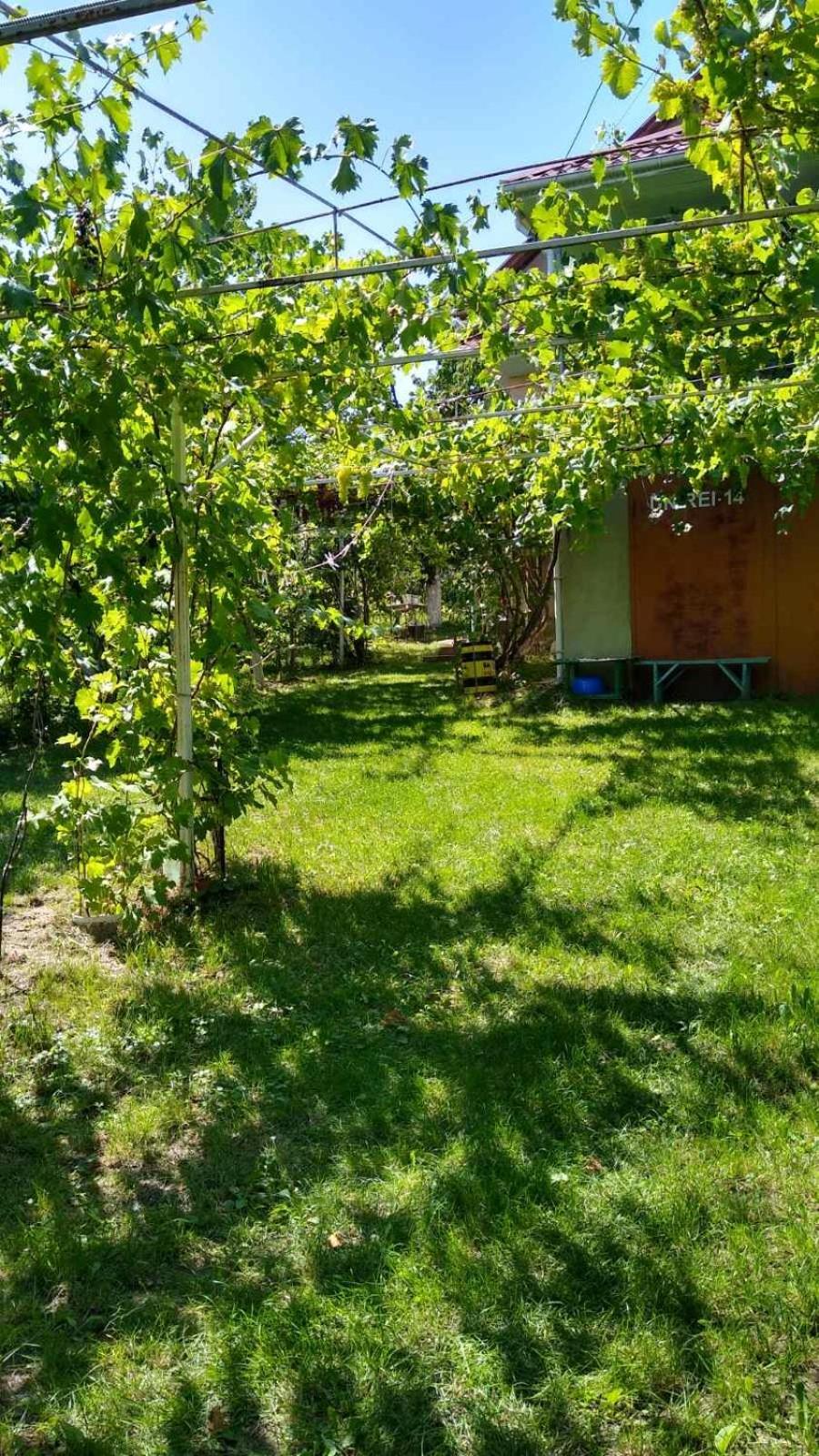 2 Bedroom House With A Terrace Vadul lui Vodă Esterno foto